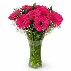 Gerberas Vase