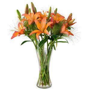 Lily Vase