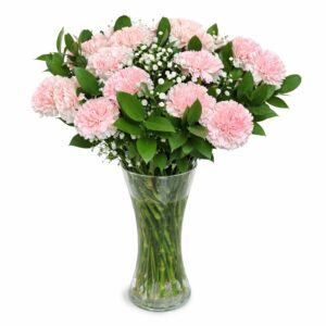 Carnation Vase